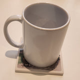 Make Way for Ducklings Coaster