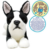 Baxter The Boston Terrier | 13 Inch Stuffed Animal Plush
