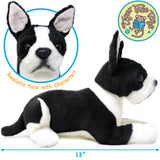 Baxter The Boston Terrier | 13 Inch Stuffed Animal Plush