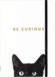 Curious Cat Journal